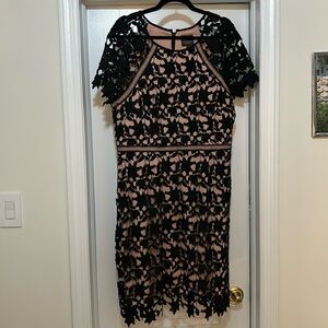Adrianna Papell Black Lace cocktail Dress